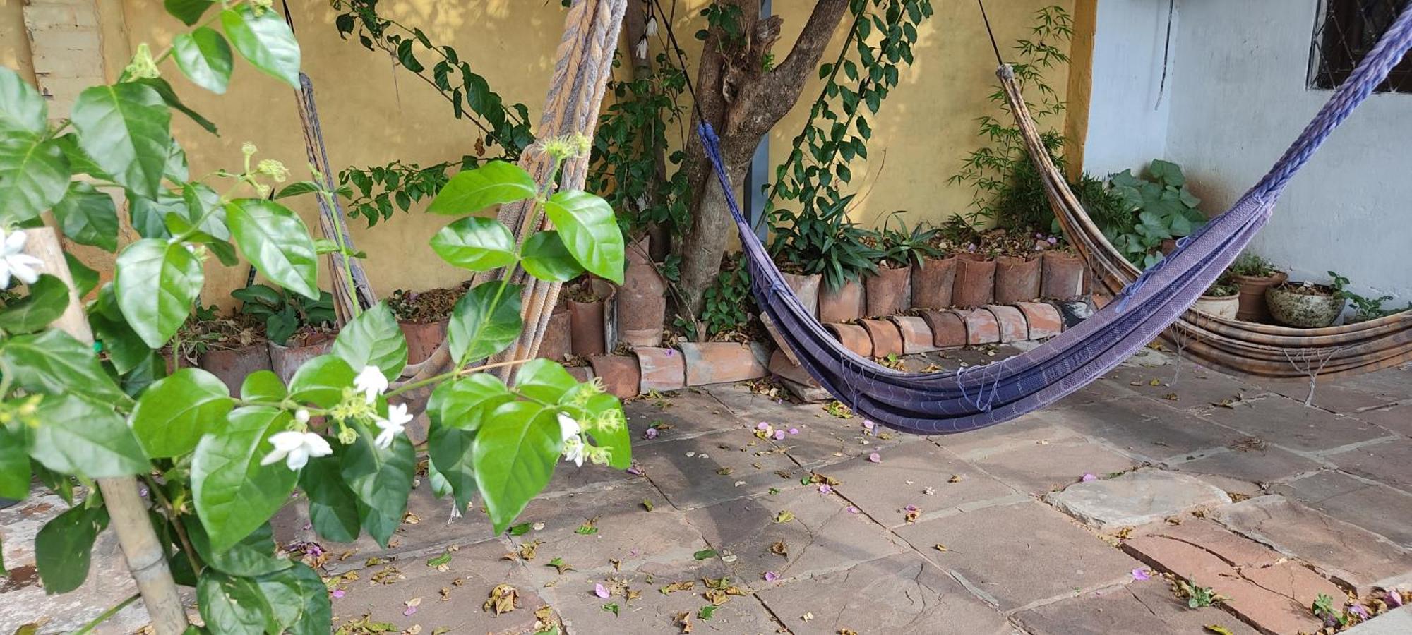 Mediterraneo Youth Hostel 亚松森 外观 照片