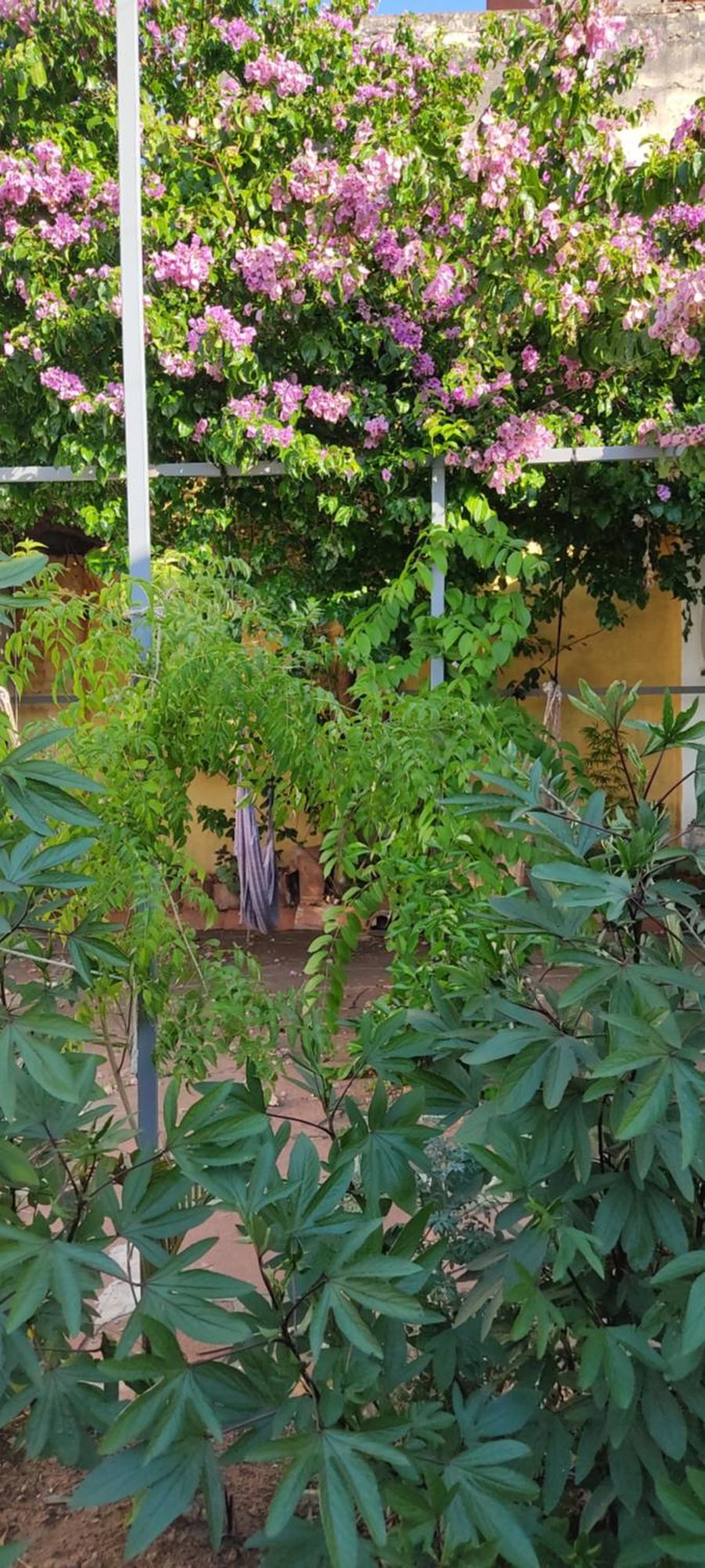 Mediterraneo Youth Hostel 亚松森 外观 照片